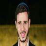  צילום: Arie Leib Abrams/Flash90 ברנז'ה