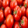 עגבניות צילום: 1777177,Shutterstock אוכל