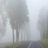 ערפל, אילוסטרציה | צילום: PhotoRK,Shutterstock תחזית מזג האוויר