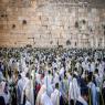 תיפלה בבוקר הושענא רבה, ארכיון צילום: Chaim Goldberg,Chaim Goldberg סוכות
