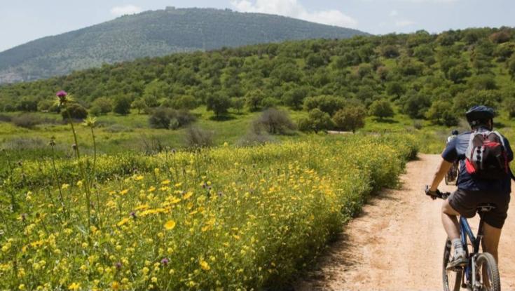 בלי להוציא שקל: 5 מקומות מומלצים לטיול ביום הבחירות