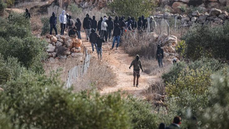 צה"ל: ישראלים הציתו מכולה וריססו כתובות גרפיטי בדרום הר חברון