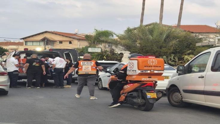 אשקלון: ילד בן 7 ננשך על ידי כלב - ונפצע