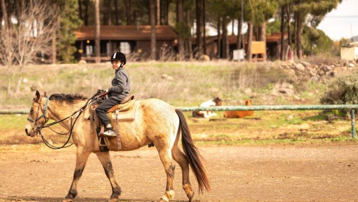מרגיש כמו חו"ל אבל הכי ישראלי: חופשת חורף בקיבוץ אורטל