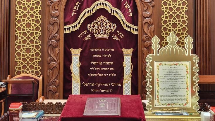 היכל דוד ע"ש רס"ל טל שועה הי"ד