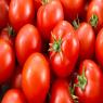עגבניות צילום: 1777177,Shutterstock אוכל