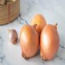 איפה כדאי לשמור את הבצלים? צילום: Rawi_Bunyarak,Shutterstock לייף סטייל