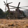 פינוי הפצועים מהאירוע בצפון צילום: Ayal Margolin,copyright (c) Flash90 2026 חדשות