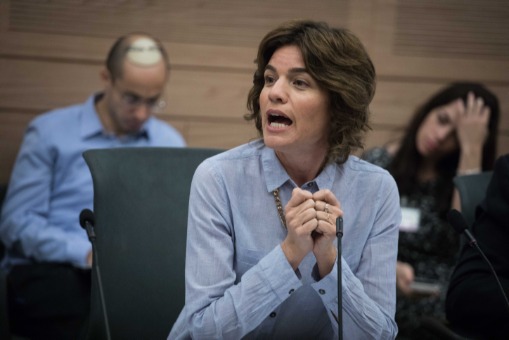 אחת ממגישות העתירה. ח"כ זנדברג