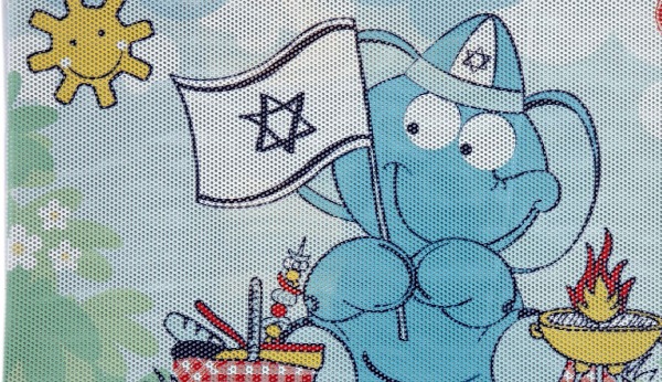 מגן שמש