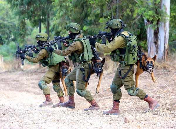תמונה מתוך התערוכה