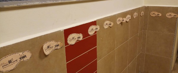 ניצני התורה, יסודות