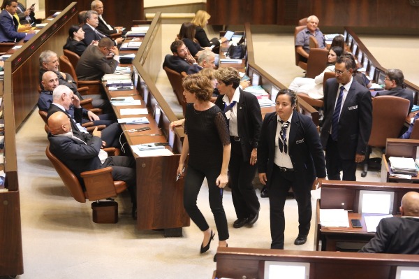 זנדברג מוצאת מהמליאה