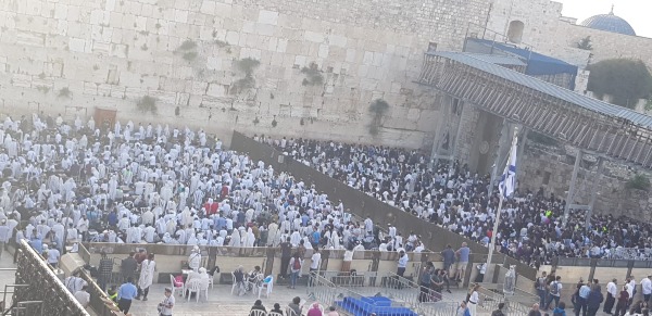 תפילת ראש חודש הבוקר בכותל המערבי