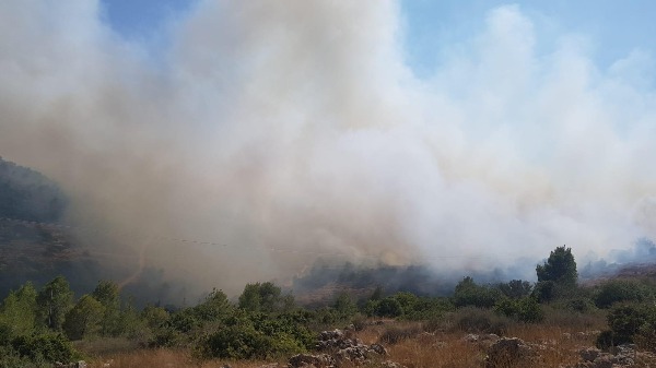 עשרה צוותי כיבוי נאבקים בלהבות
