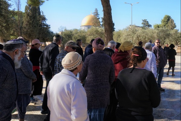 קהילת נוב בהר הבית