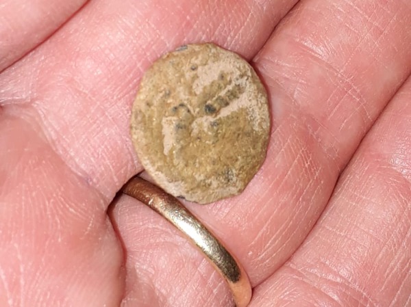 מטבע שנמצא בסוסיא