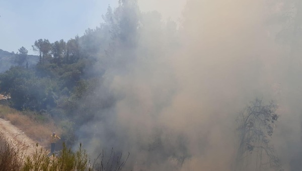 השרפה באזור מטע