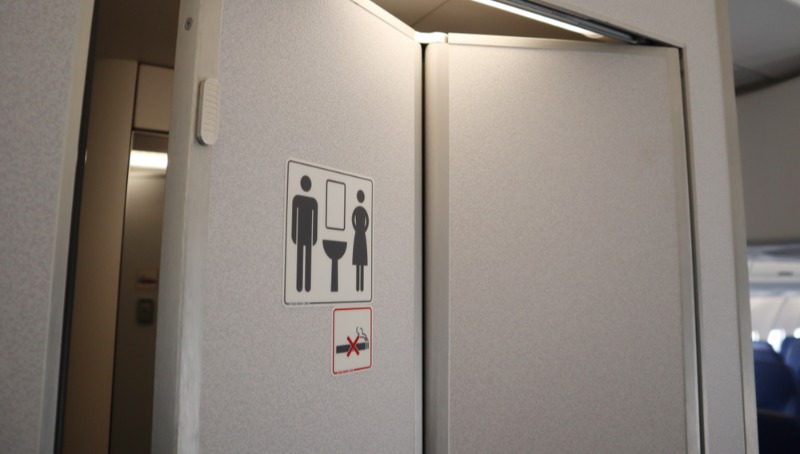 In Russia they are investigating: Why did the man commit suicide in the  toilet of the plane? - time.news - Time News