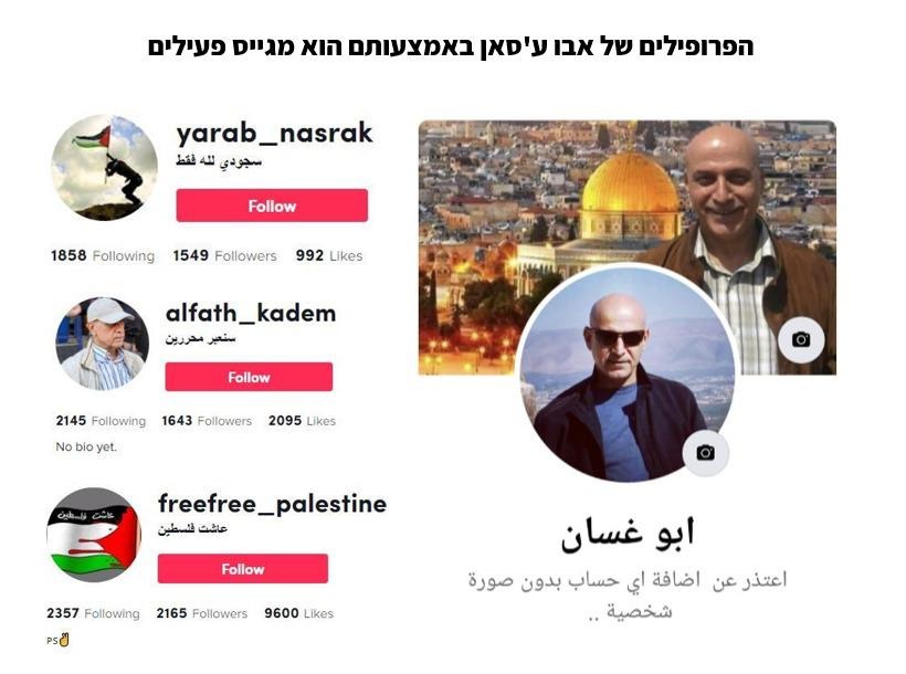 הפרופילים של אבו ע