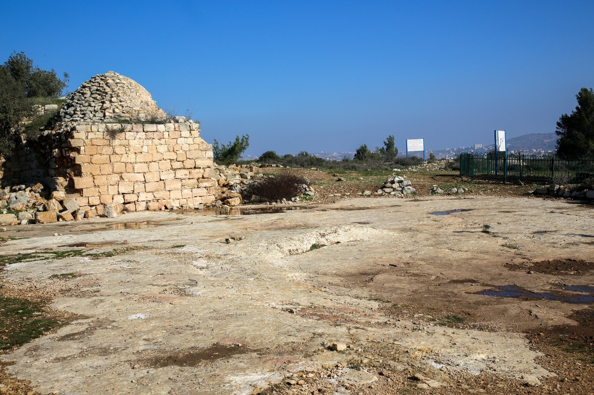 אתר חלום יעקב | 
