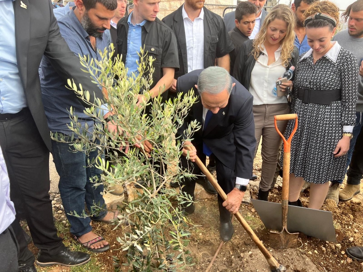 נתניהו נוטע עץ | 