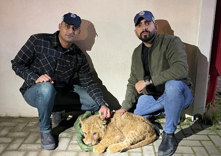 הבלשים והגור | 