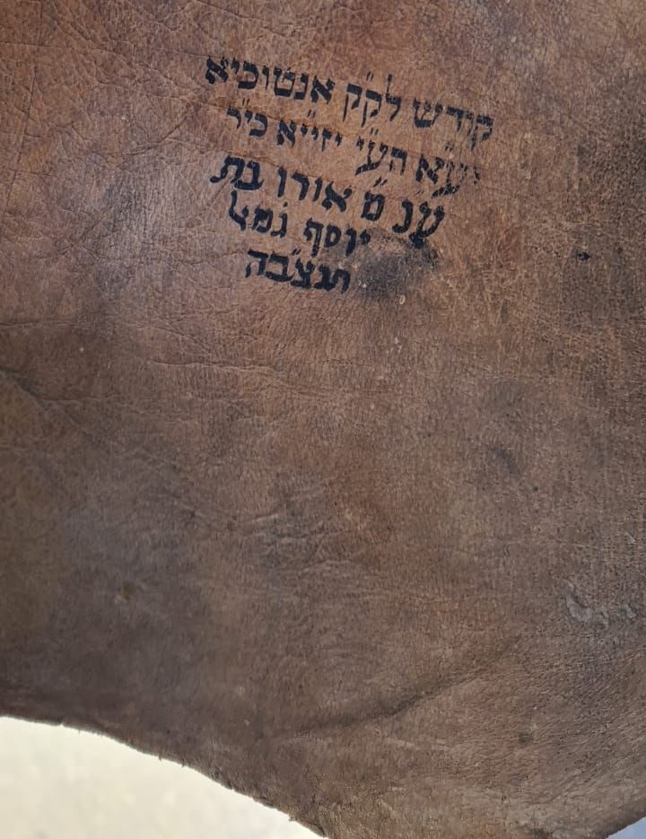 ממצא נוסף שהועבר לשימור | 