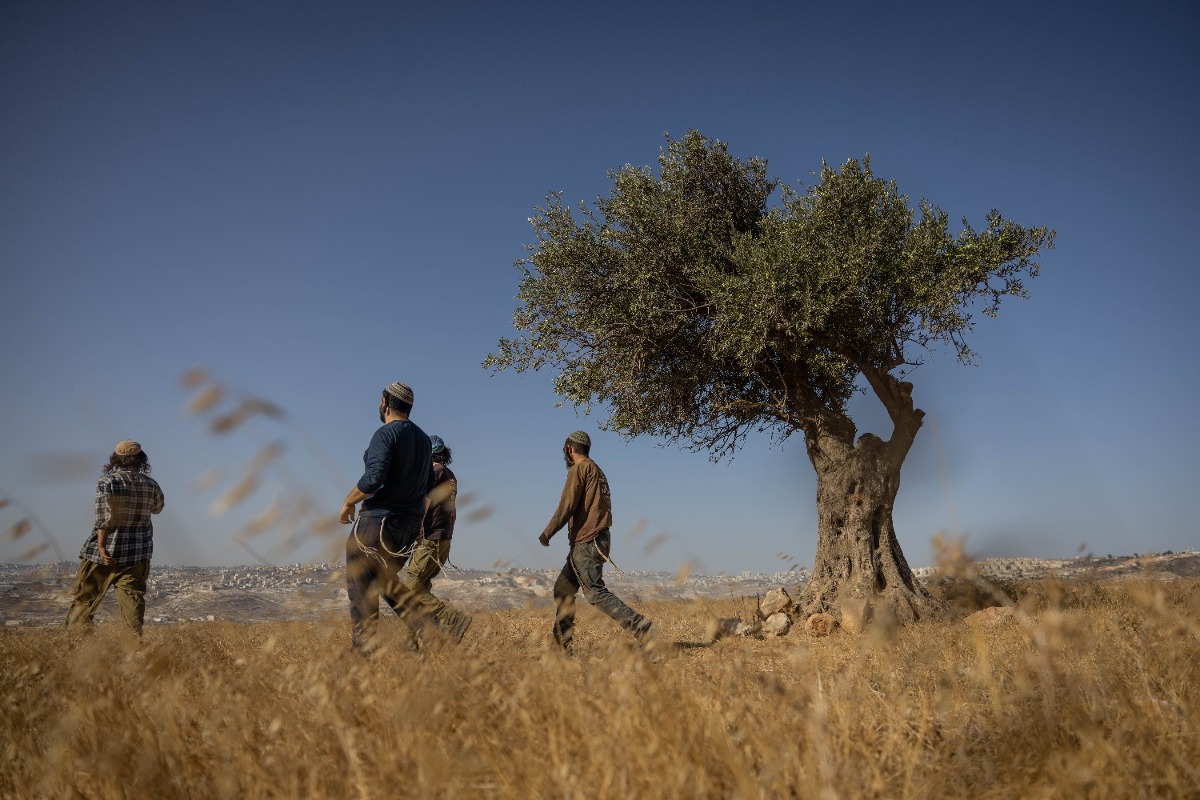 רמת מגרון | 