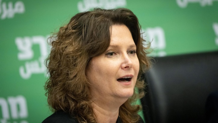מיכל רוזין בשאילתא לבני גנץ