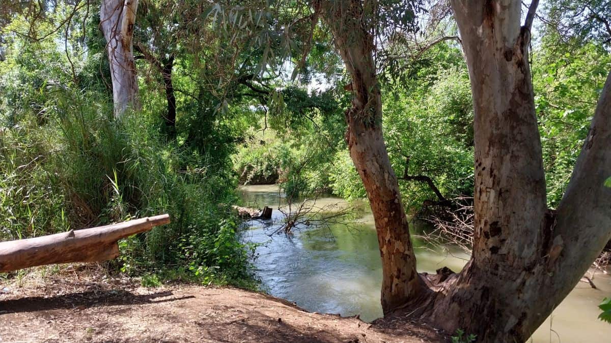 מורד הבניאס | 