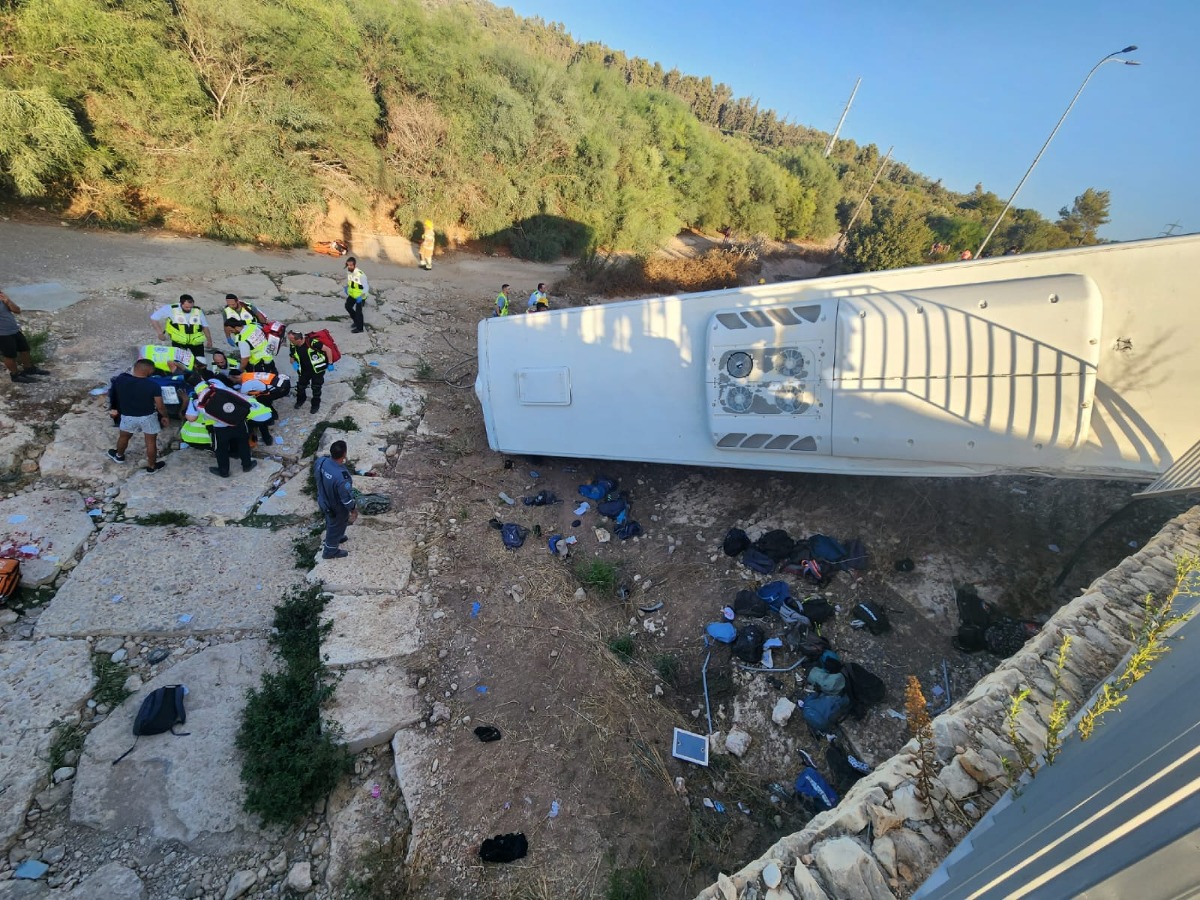 האוטובוס במבט מלמעלה | 