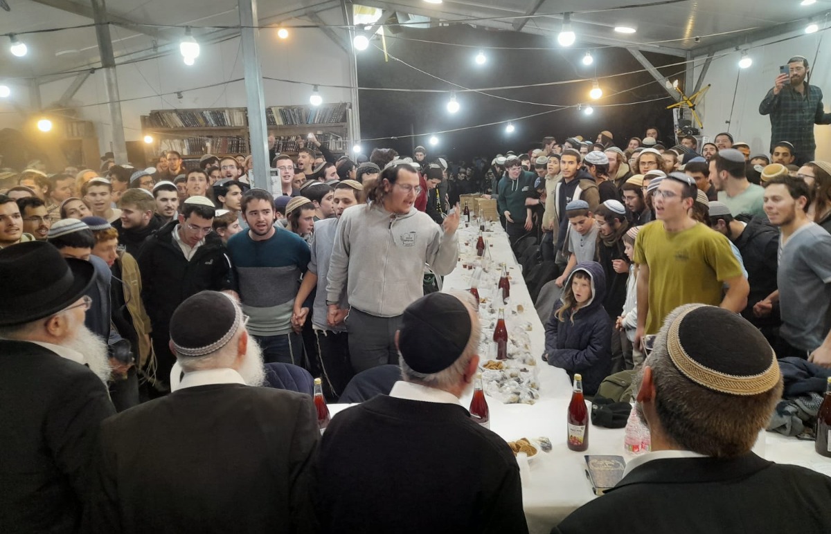 סדר ט"ו בשבט בחומש | 
