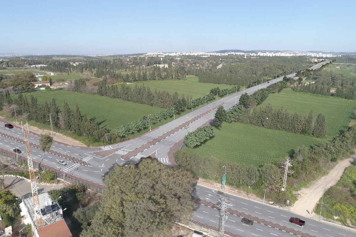 הדמיית הכביש | 