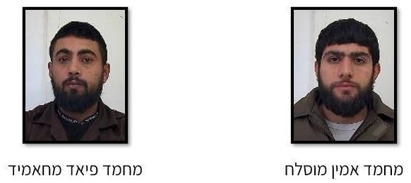 שני החשודים | 
