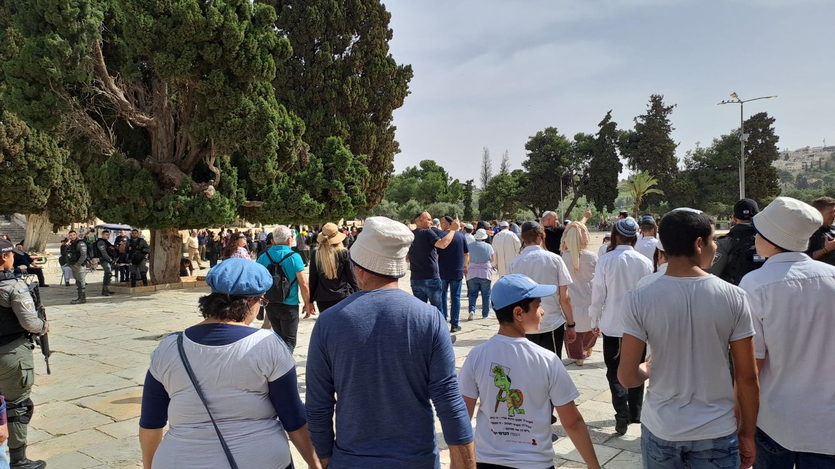 הר הבית, הבוקר | 