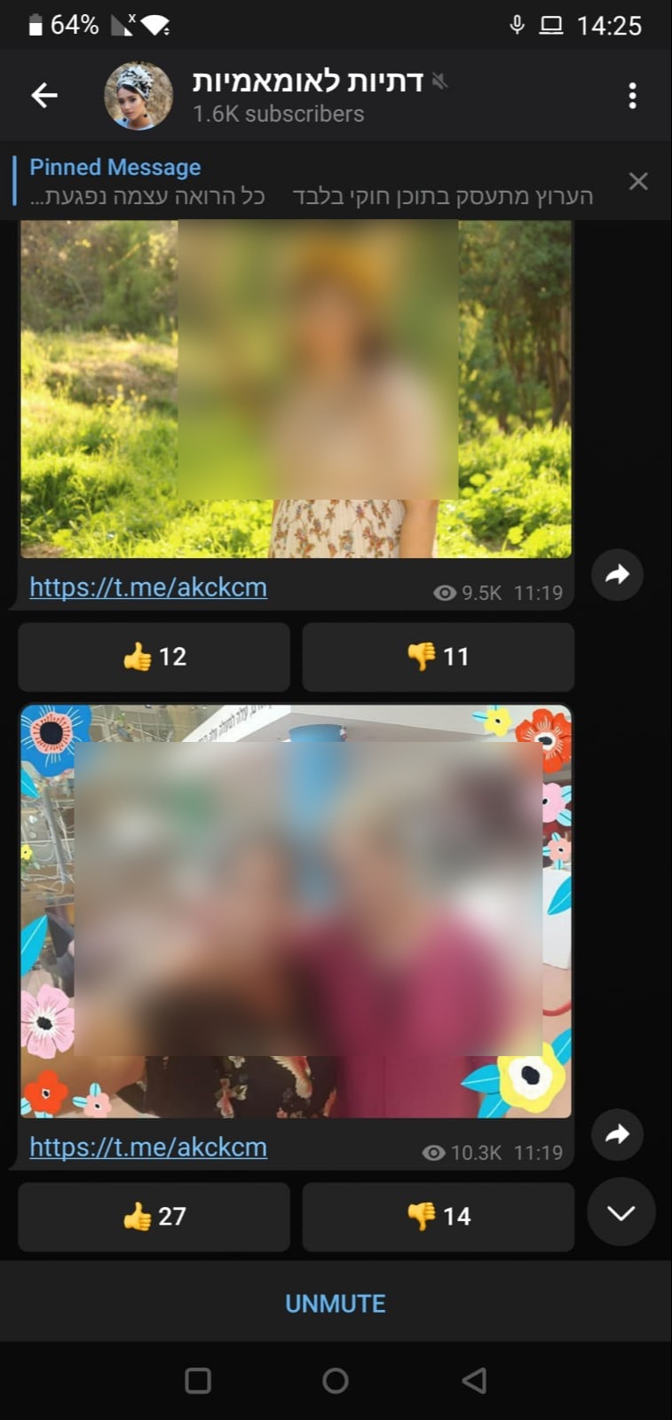 התמונות וההצבעה בערוץ