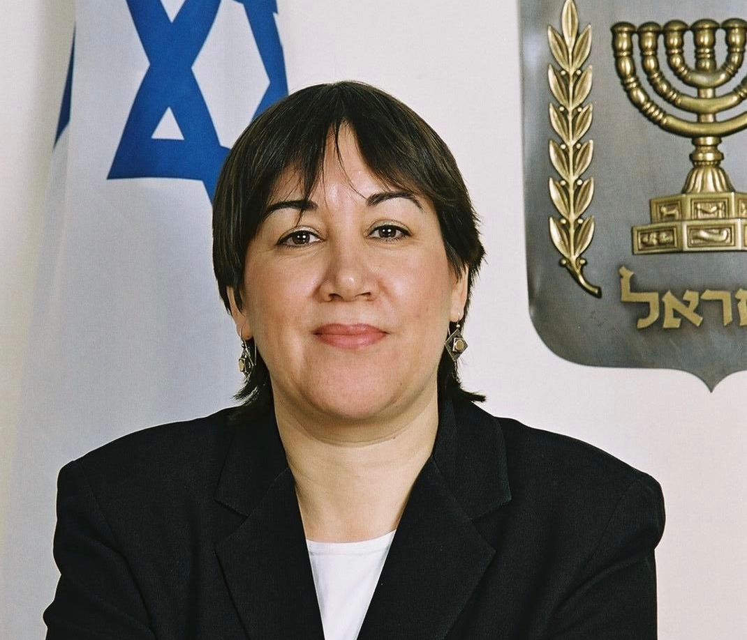 גילה כנפי שטייניץ
