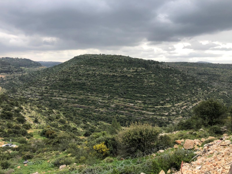 הנוף של המסלול