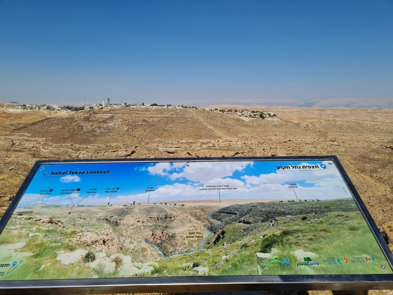 הגוש מתחדש