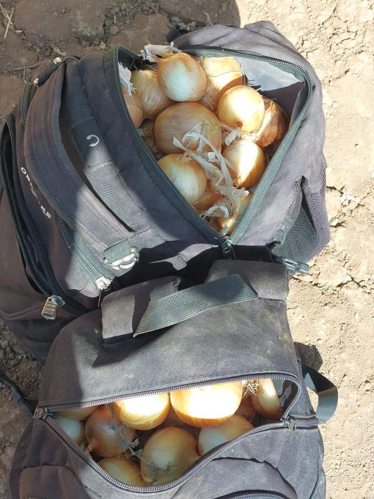 צילומים מפעילות הכוחות