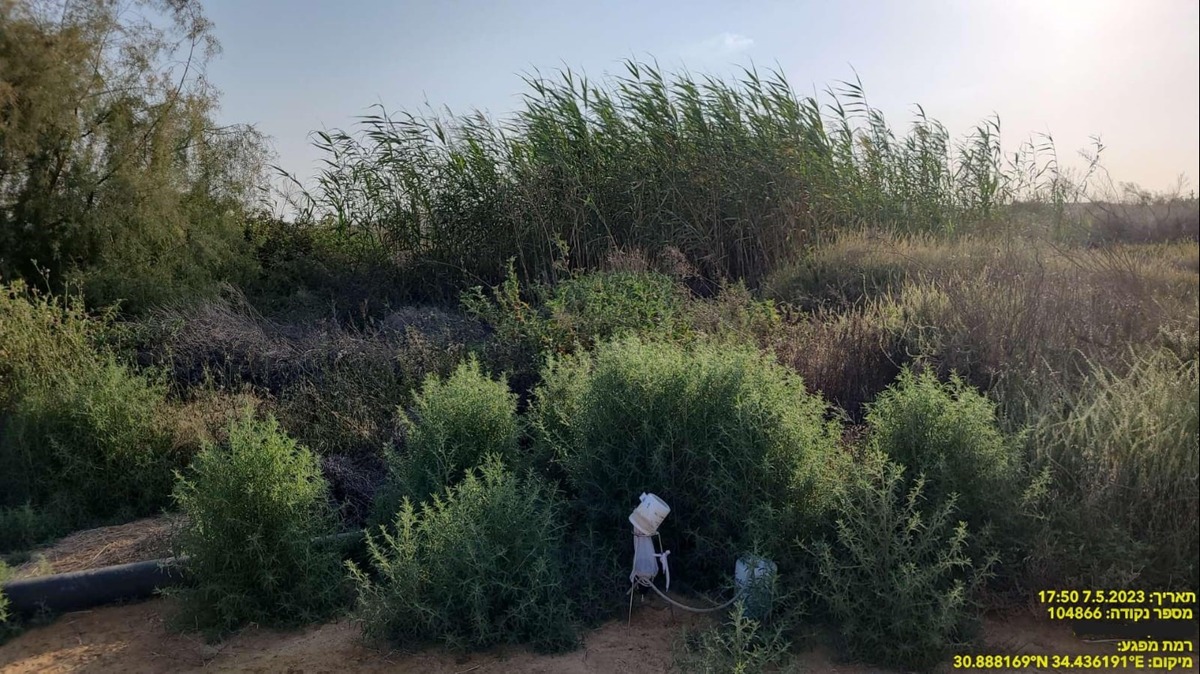 לכידת  שנגועים בקדחת הנילוס