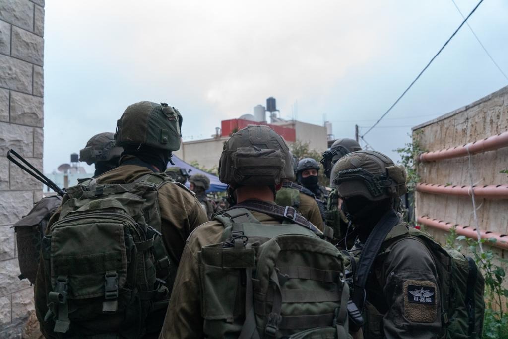 כוחות צה"ל בפעולה 