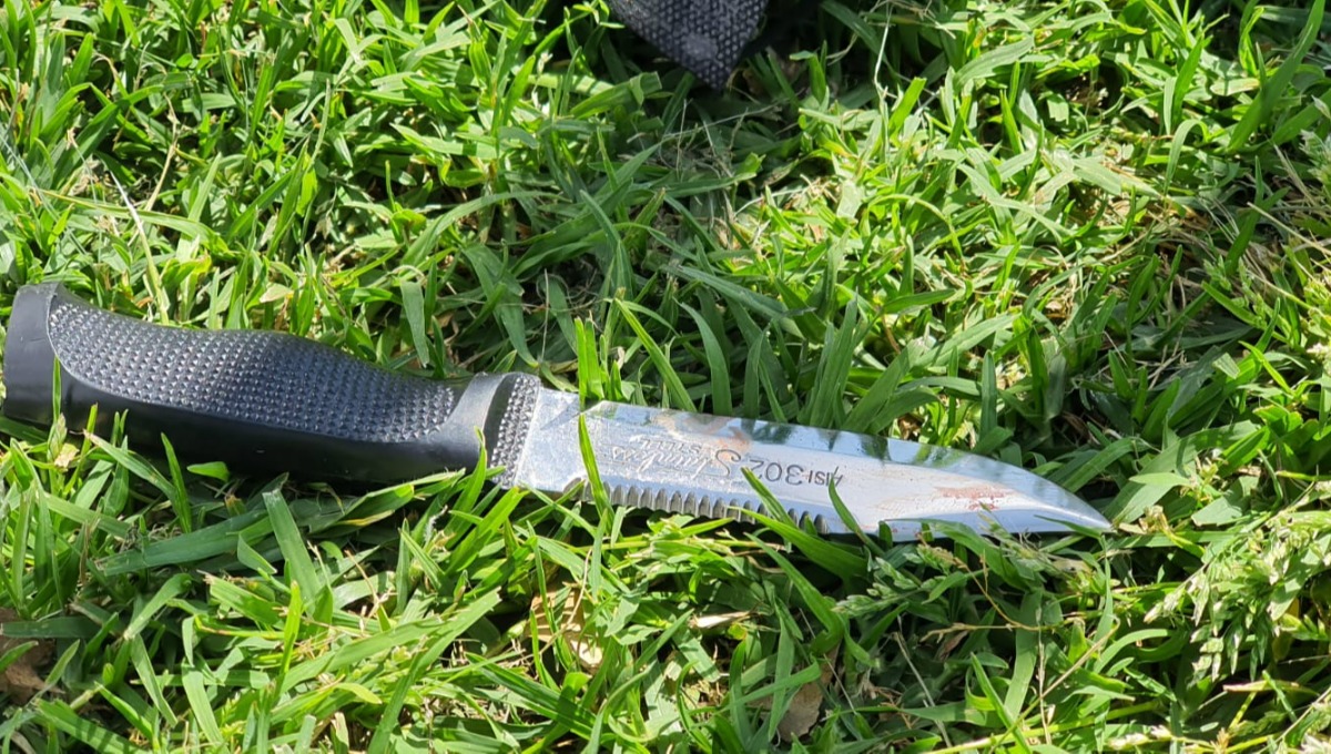 The stabbing in Haifa: The father called the police and told them about his daughter’s intention to carry out an attack