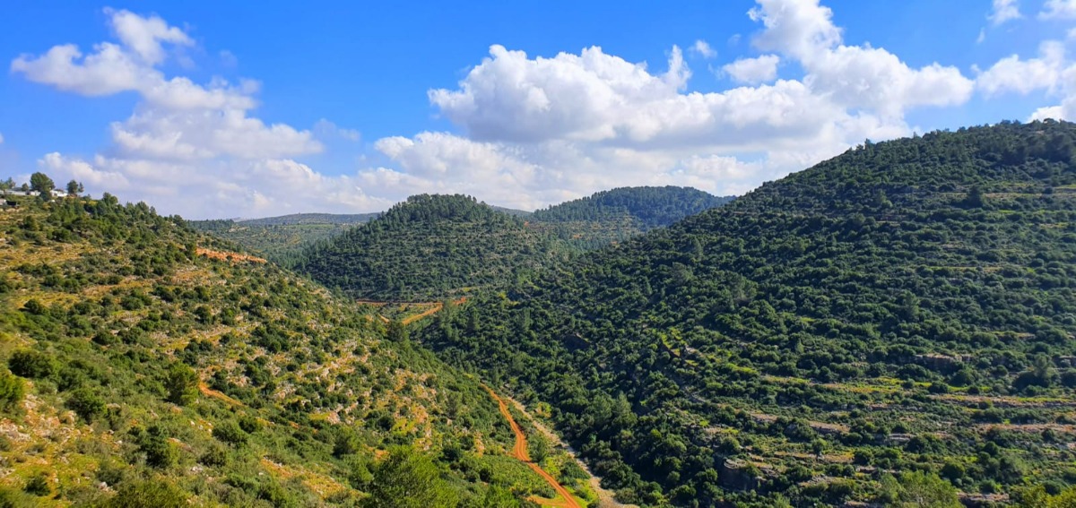 תיירות בנימין
