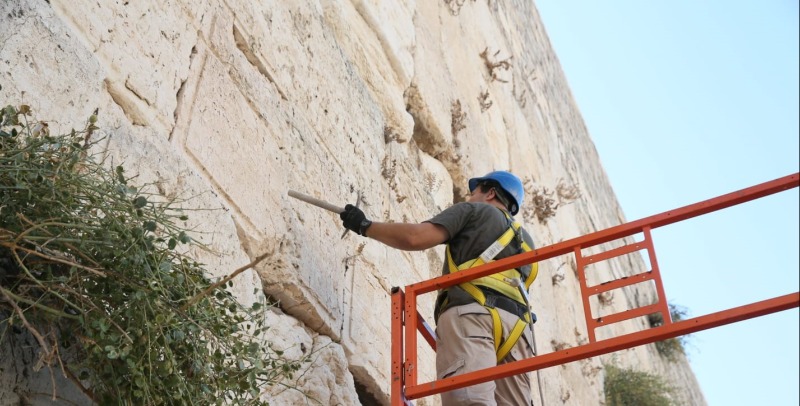 בדיקת האבנים