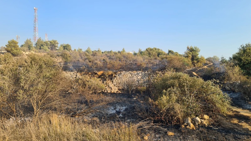 דוברות כבאות והצלה