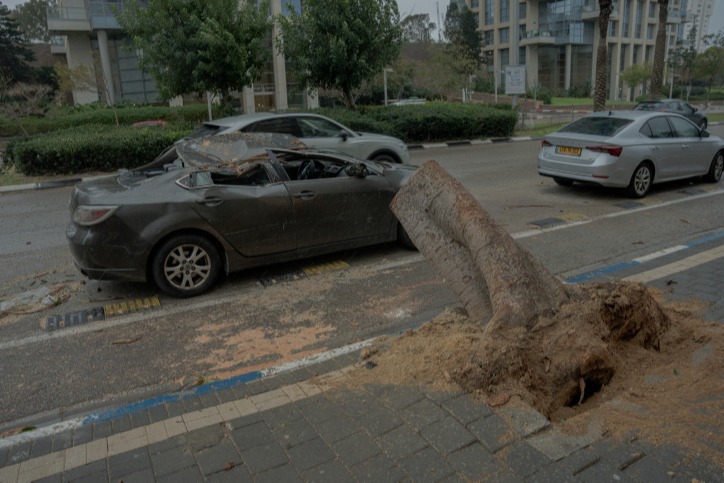 עץ קרס בתל אביב