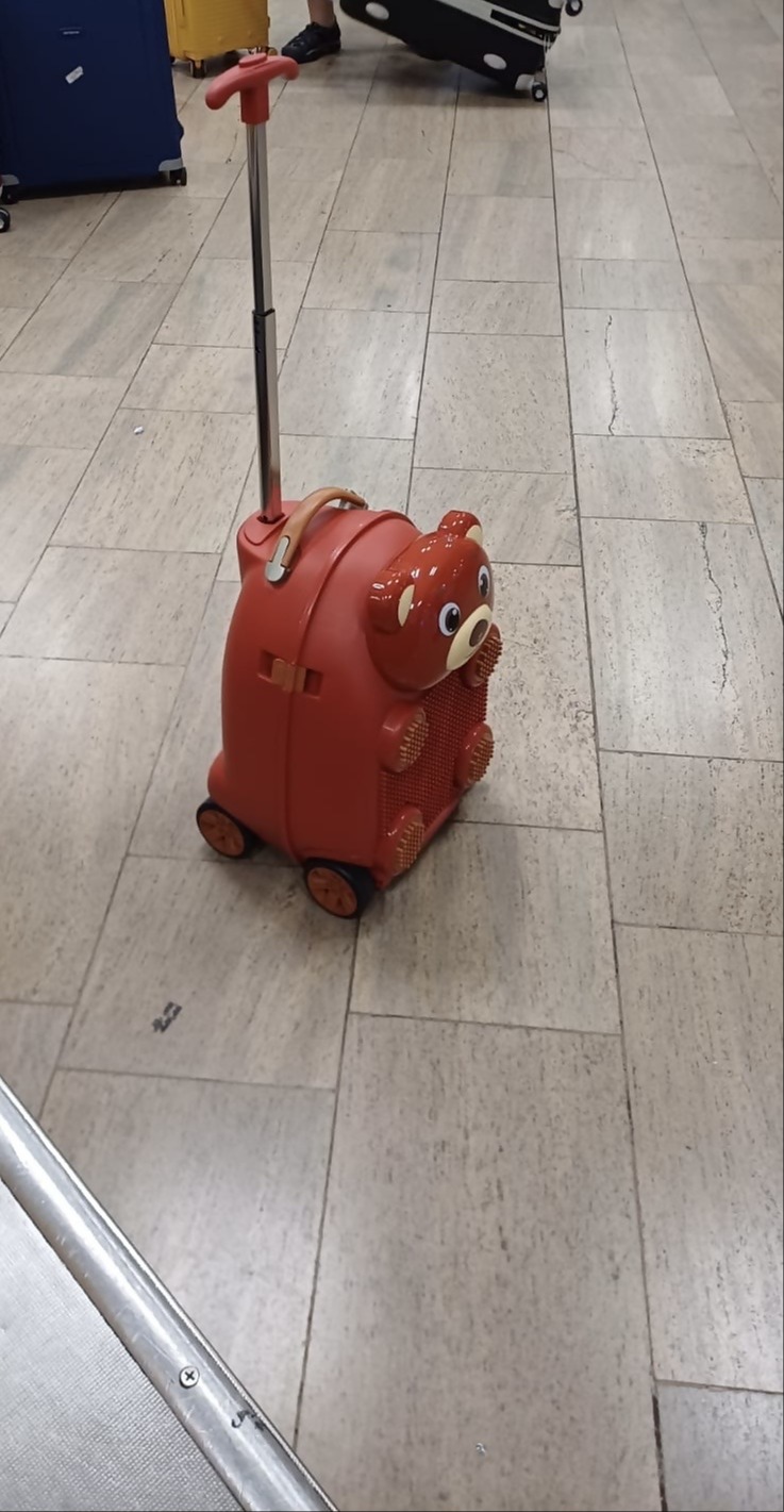 הברחת הזהב בתוך תיק בצורת דובי | 