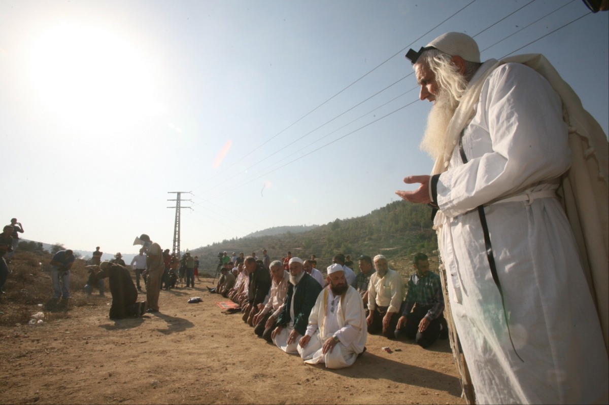 הרב פרומן | 